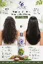 Shampoo_03.webp