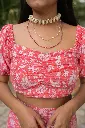 Camellia_top_999.webp