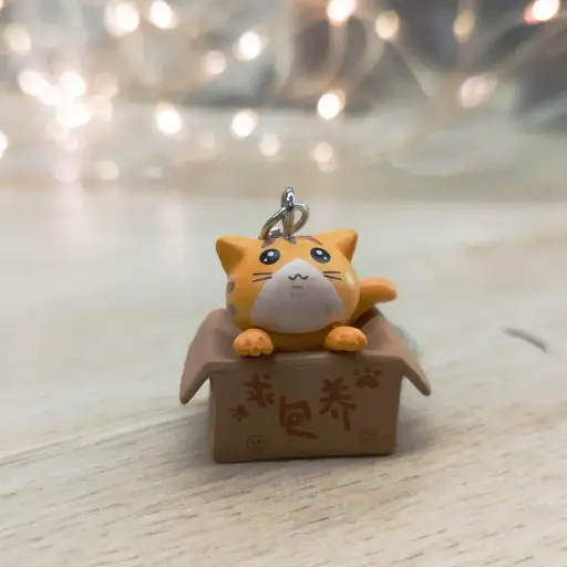 Cat in a Box Keychain